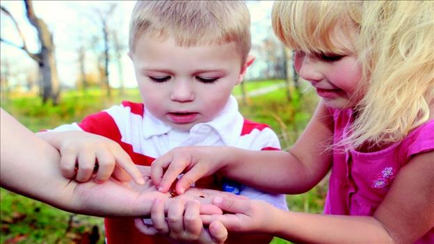 Young girl and boy looking at ladybird in adults hand